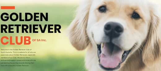 GOLDEN RETRIEVER CLUB OF SA Inc.